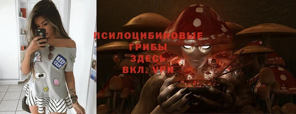 метадон Кодинск