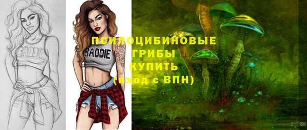 метадон Кодинск