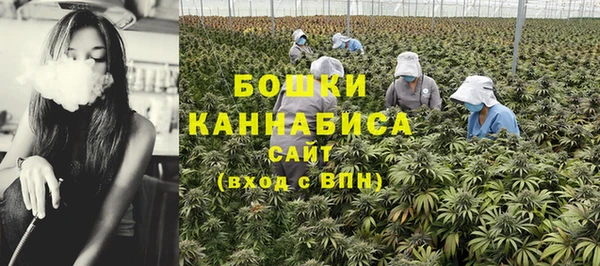 метадон Кодинск